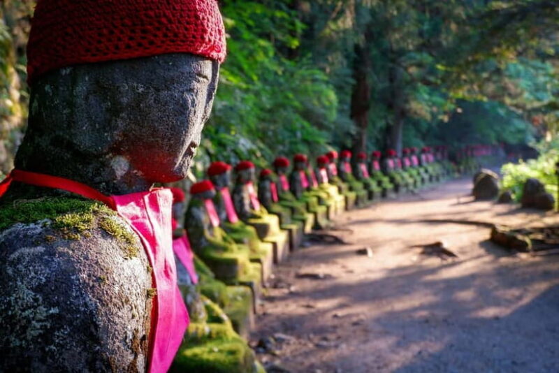 Tokyo: Nikko Private Sightseeing Day Trip with Driver - The Practicalities: What You Need to Know