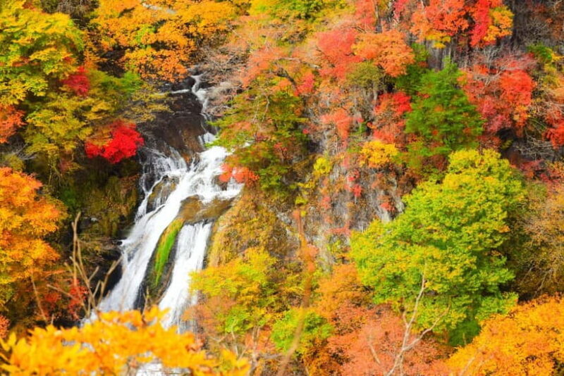 Tokyo: Nikko Private Sightseeing Day Trip with Driver - Who Will Love This Tour?