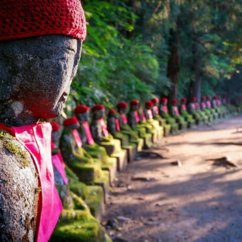 Tokyo: Nikko Private Tour hotel pick and drop customizable - Journey through Nikko: What to Expect