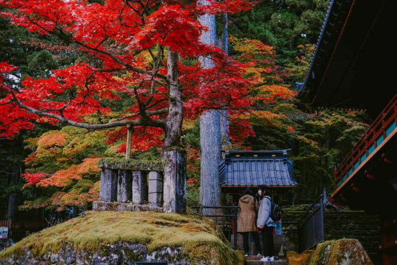 Tokyo: Nikko Private Tour with Lunch and Wine Tasting - Discovering Nikko: An All-Inclusive Day Trip from Tokyo
