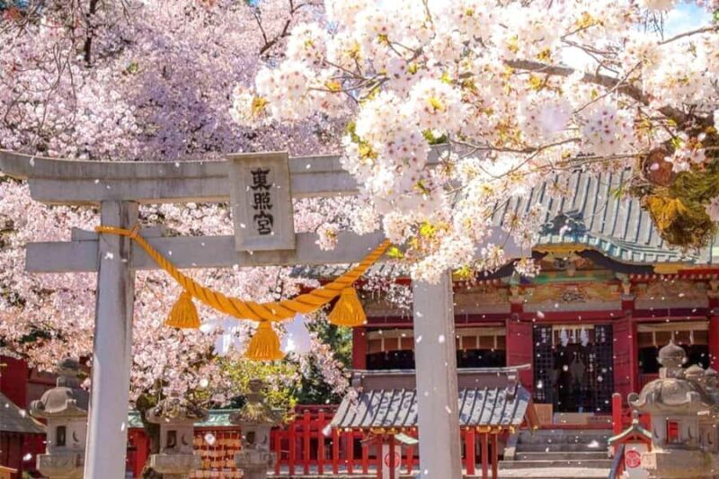 Tokyo: Nikko Shrines, Waterfalls & Scenic Day Trip - The Itinerary in Detail