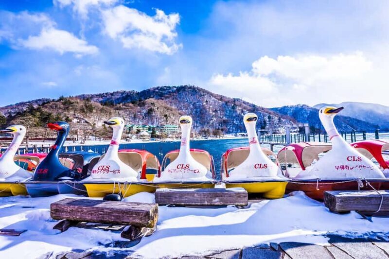 Tokyo: Nikko Shrines, Waterfalls & Scenic Day Trip - Practical Considerations