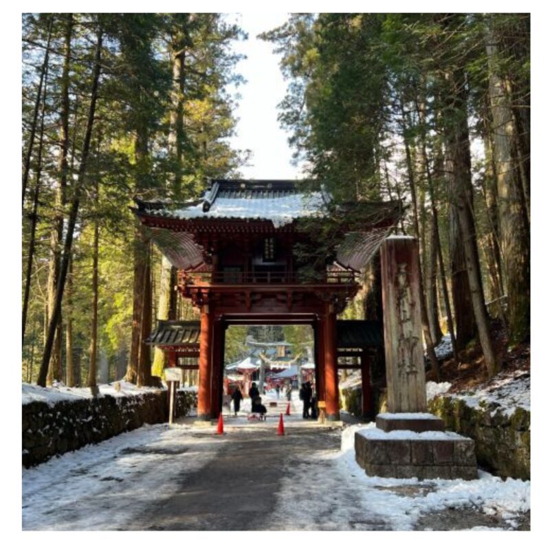 Tokyo: Nikko Shrines, Waterfalls & Scenic Day Trip - FAQ