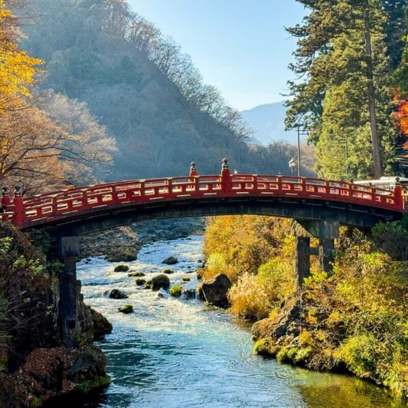 Tokyo: Nikko Unesco World Heritage Private Tour Customizable - Exploring the Nikko Day Tour from Tokyo: A Detailed Look