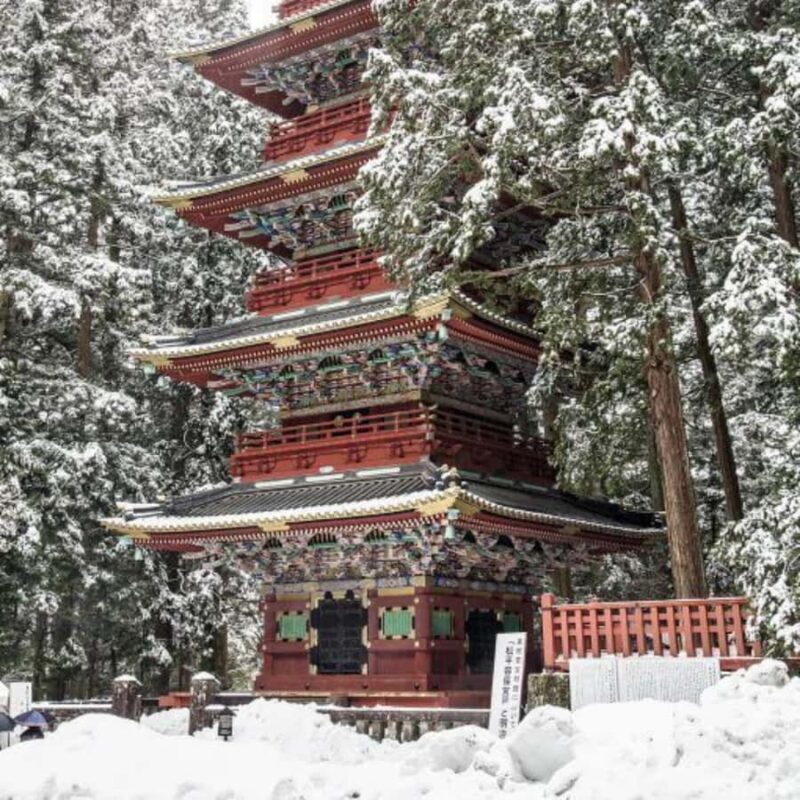 Tokyo: Nikko Unesco World Heritage Private Tour Customizable - Key Points
