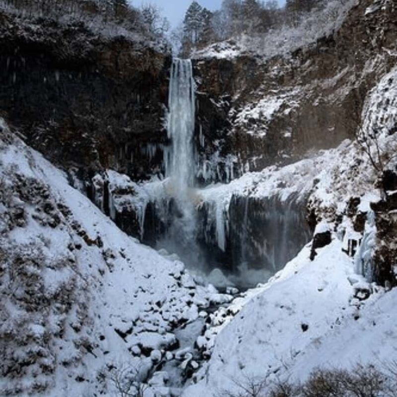 Tokyo: Nikko Unesco World Heritage Private Tour Customizable - Who Would Love This Tour?