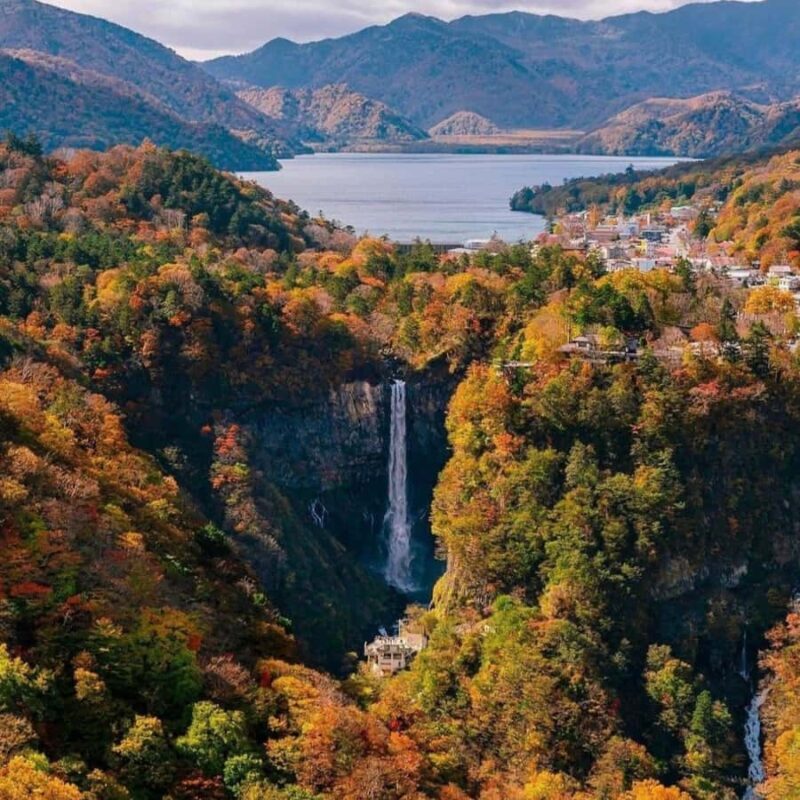 Tokyo: Nikko Unesco World Heritage Private Tour Customizable - The Sum Up