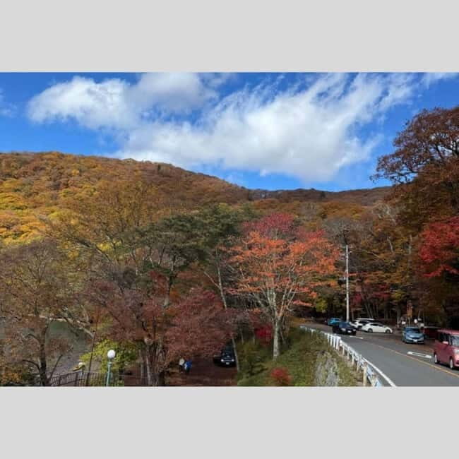 Tokyo: Nikko World Heritage Private Day Trip Hotel Pick-up - An In-Depth Look at the Tour Experience