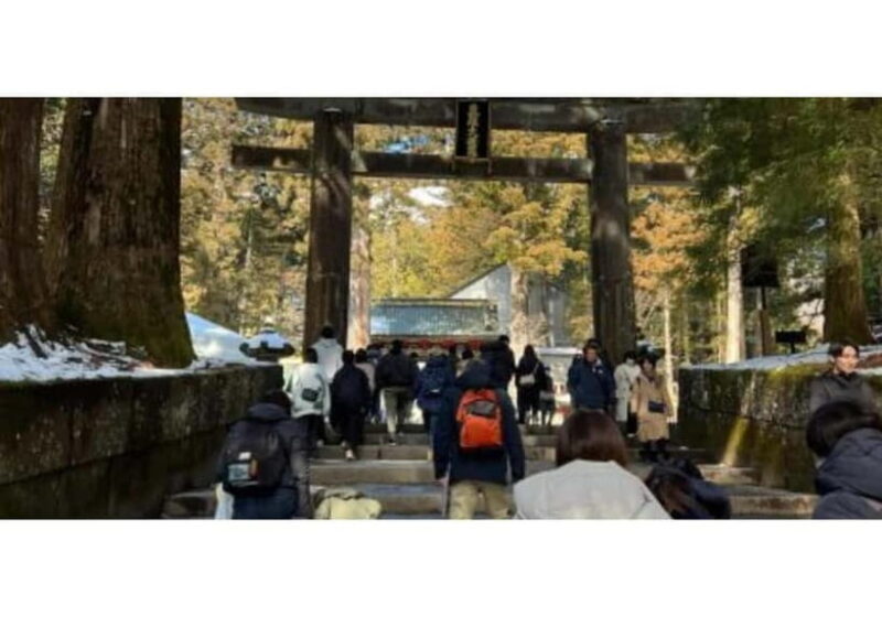 Tokyo: Nikko World Heritage Private Day Trip Hotel Pick-up - Authentic Insights from Reviewers