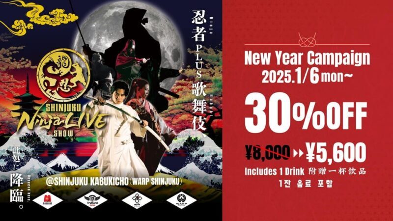 Tokyo: Ninja Kabuki Performance - The Final Verdict: Is It Worth It?