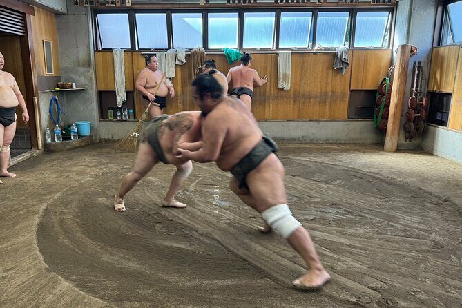 TOKYO , No1 Yokozuna Stable Morning Practice in Ryogoku - Key Points