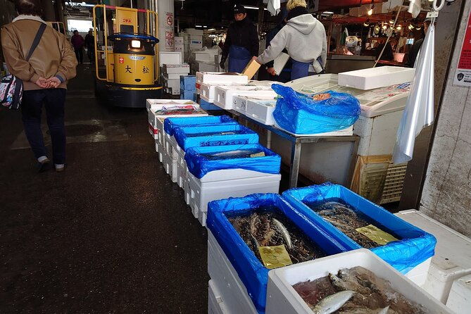 tokyo-non-touristy-local-private-e-bike-cycling-tour-from-asakusa