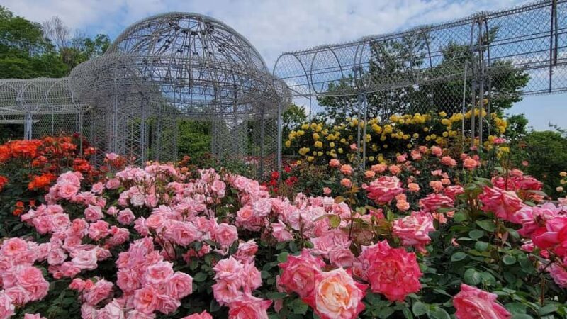 Tokyo: Odawara & Hakone Day Tour with Castle Entry - Exploring the Itinerary in Detail