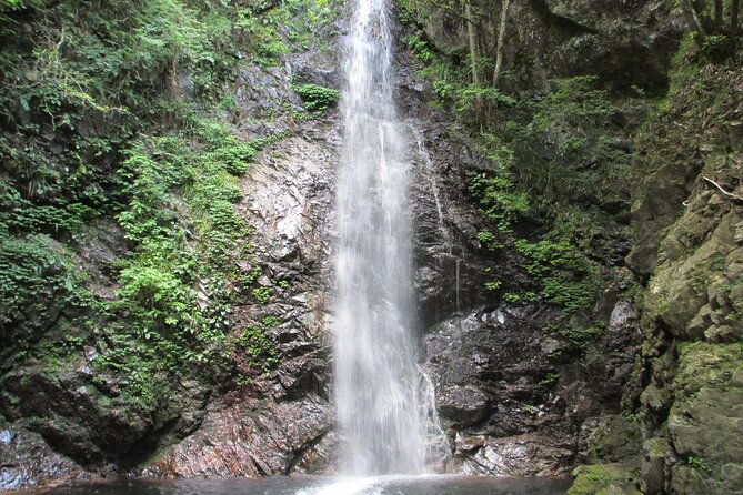 tokyo-okutama-day-trip-tour