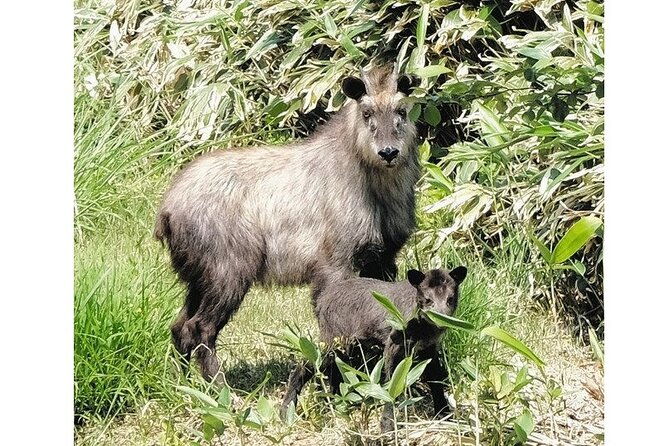 tokyo-okutama-day-trip-tour