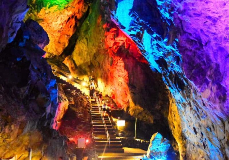 Tokyo: Okutama Day Trip with Hatonosu Gorge - Authentic Experiences and Insider Insights