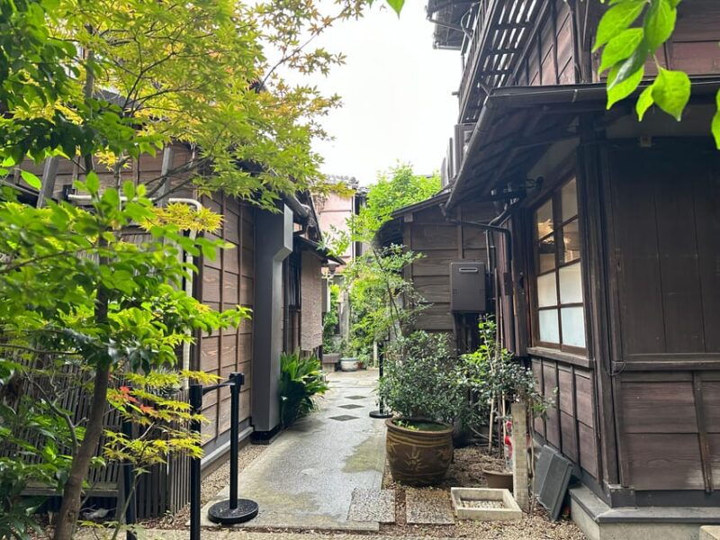 tokyo-old-traditional-townyanaka-nezu-ueno-sakuragi