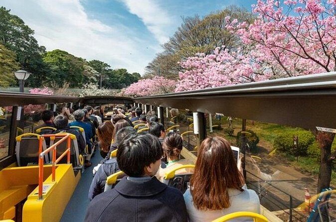 Tokyo: Open Top Sightseeing Bus with Audio Guide - Authentic Perspectives from Reviewers