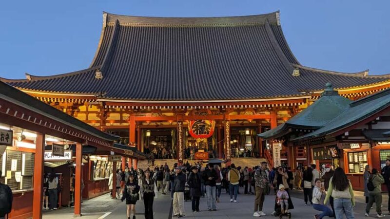 Tokyo Orientation One Day Tour: Taylor Made to Your Needs: - Why This Tour Works for You