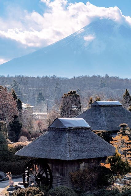 tokyo-oshino-hakkai-cable-car-matcha-experience-day-trip