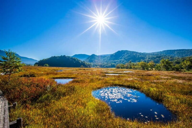 Tokyo: Oze Marshland Hiking Day Trip via Hatomachi Pass - The Itinerary Breakdown