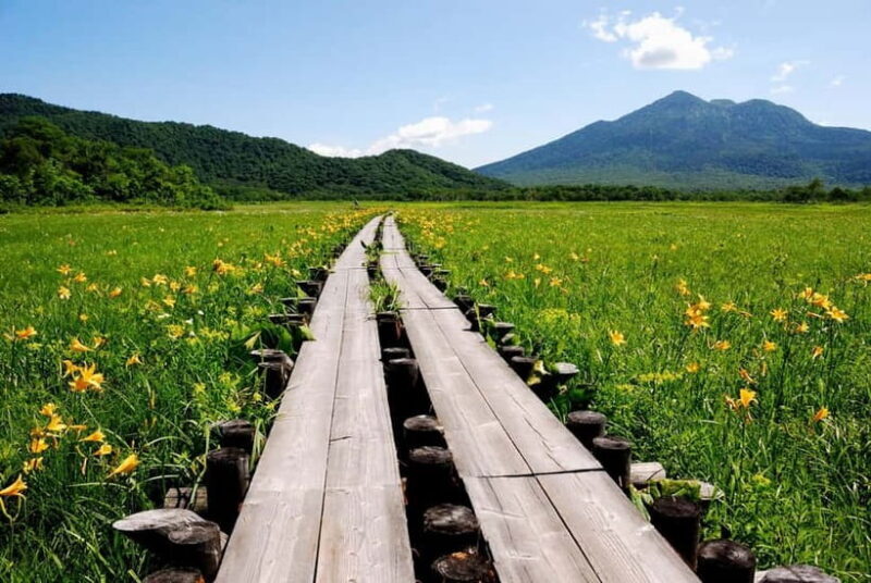 Tokyo: Oze Marshland Hiking Day Trip via Hatomachi Pass - Experience and Practical Tips