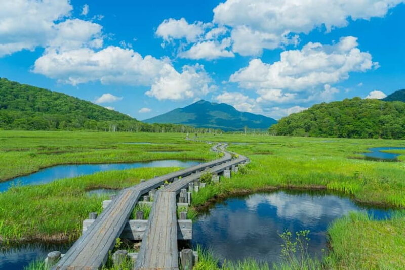 Tokyo: Oze Marshland Hiking Day Trip via Hatomachi Pass - The Sum Up