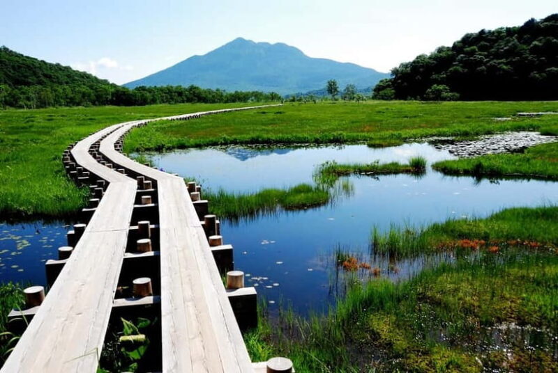 Tokyo: Oze National Park Self-Guided Hike with Overnight Bus - What You’ll Love About This Tour