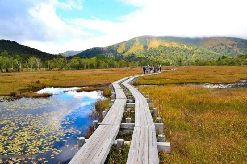 Tokyo: Oze National Park Self-Guided Hike with Overnight Bus - Who Will Appreciate This Experience?