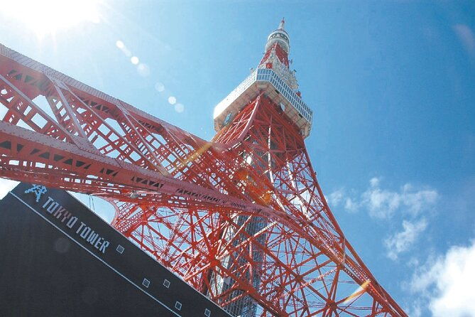 tokyo-panoramic-1-day-meiji-shrine-asakusa-odaiba-and-skytree