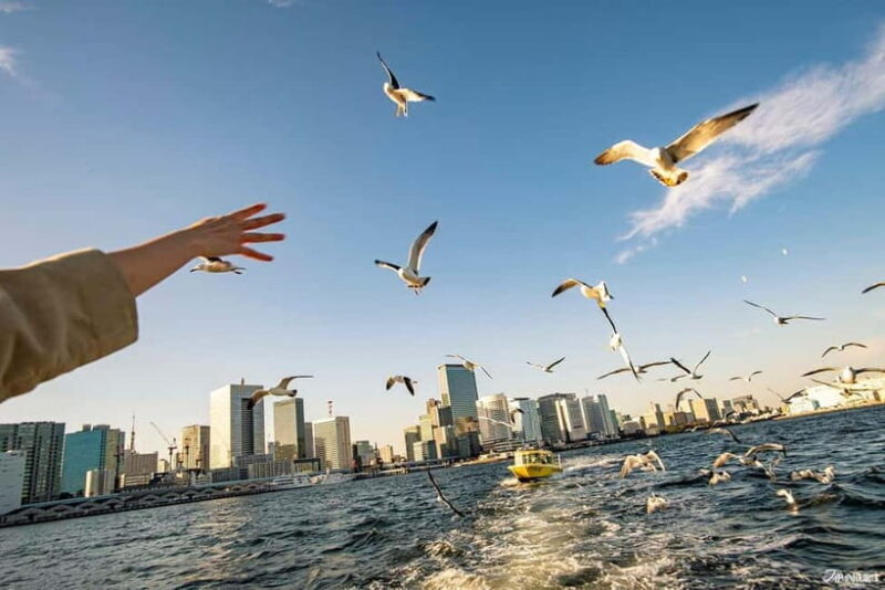 Tokyo: Panoramic Sunset Bay Cruise with Local Guide - Real Experiences and Feedback