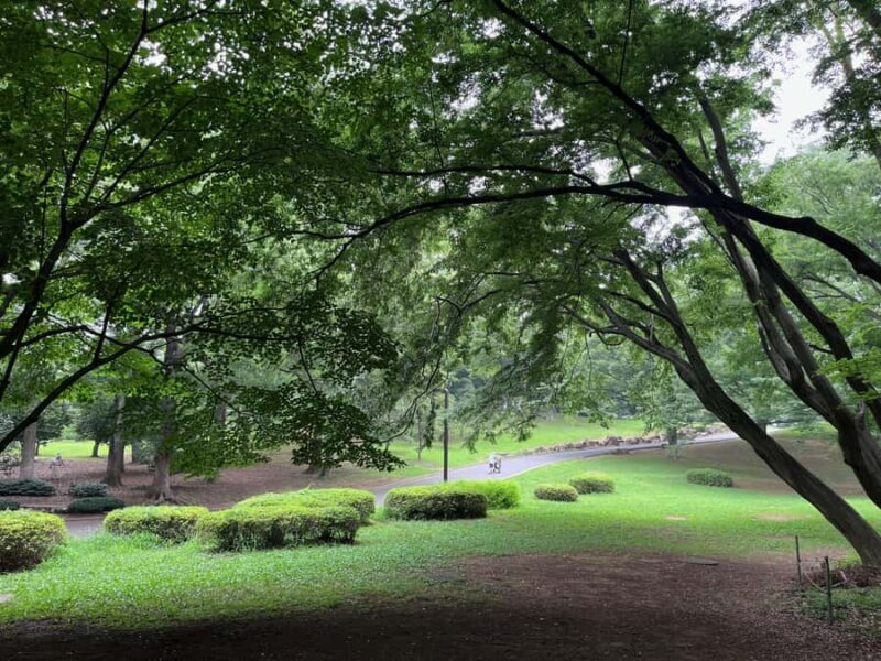 Tokyo "Perfect Days" Movie Walk Feat. Yoyogi & Sugamo 3 Hrs - Key Points