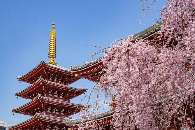 tokyo-personalized-full-day-tour-led-by-a-local-expert