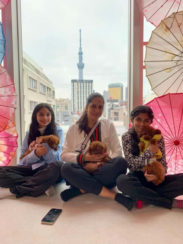 Tokyo: Personalized Walking Tours with Mika - Key Points