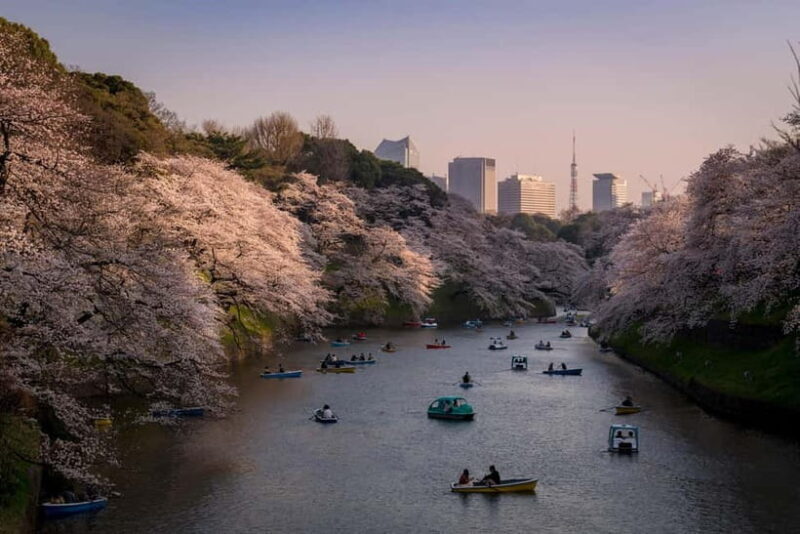 Tokyo: Photography Masterclass - Private Photo Lesson - Why the Tour Offers Outstanding Value