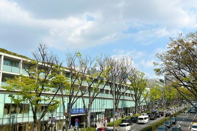 Tokyo Pop Culture & Tradition Tour: Meiji Shrine to Harajuku - Practical Details & What to Expect