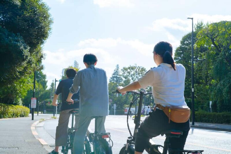 Tokyo: Private 3-hour E-Bike Tour with a Custom Route - Final Thoughts