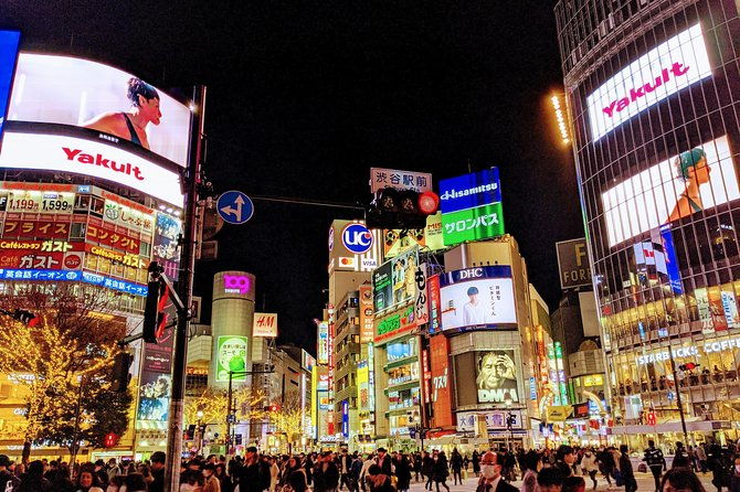 tokyo-private-car-tour-professional-guide-and-driver-optional-airport-xfer