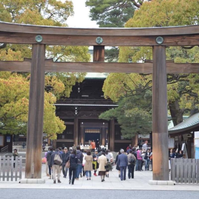 Tokyo: Private Car Tour with Custom Itinerary & Pickup - A Detailed Look at the Itinerary