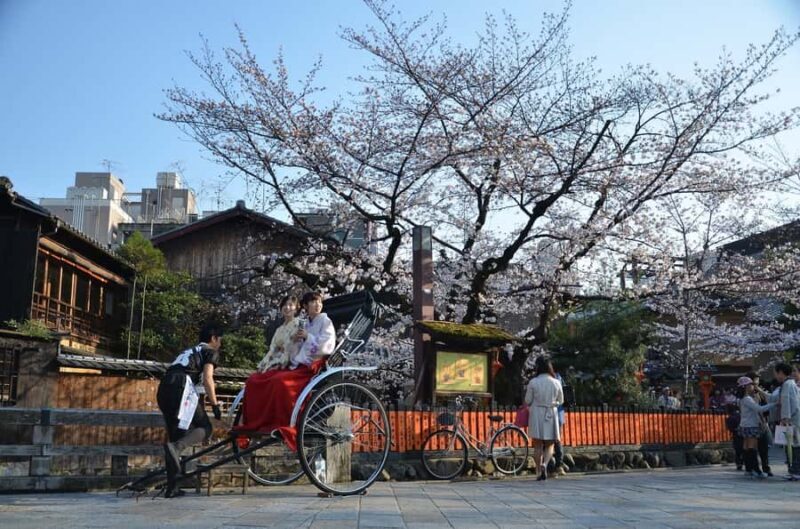 Tokyo Private Cherry Blossom Tour  Picnic Included - Scenic Picnic at Sumida Park