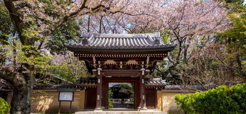 Tokyo Private Cherry Blossom Tour  Picnic Included - Who Will Love This Tour?