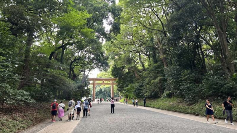 Tokyo: Private City Tour with Spanish-Speaking Guide - A Deep Dive into the Tour Experience