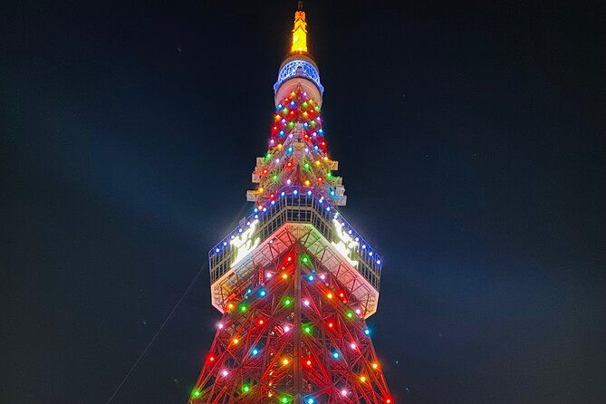 tokyo-private-custom-day-tour-with-english-speaking-chauffeur