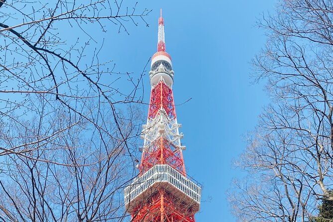 tokyo-private-custom-day-tour-with-english-speaking-chauffeur