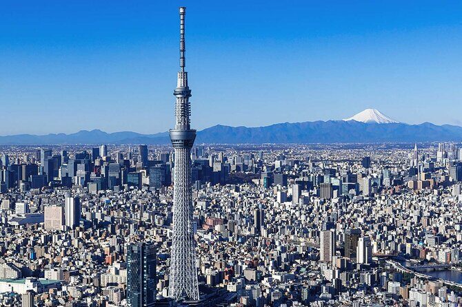 Tokyo Private Custom Full Day Sightseeing Tour by Chartered Car - Key Points