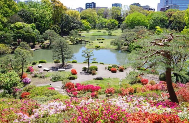 Tokyo: Private & Custom Local Guide TourLuxury Experience - An In-Depth Look at the Tour