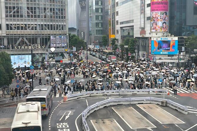 Tokyo Private Custom Tour with Local guide - What Travelers Say