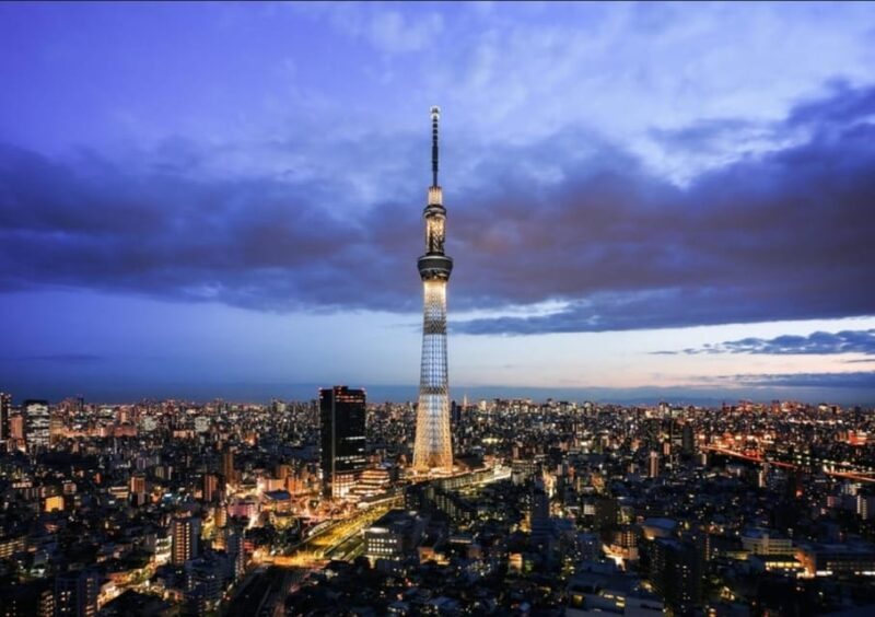 Tokyo: Private Customizable Day Tour with Chauffeur - Exploring Tokyo with a Private Customizable Day Tour and Chauffeur