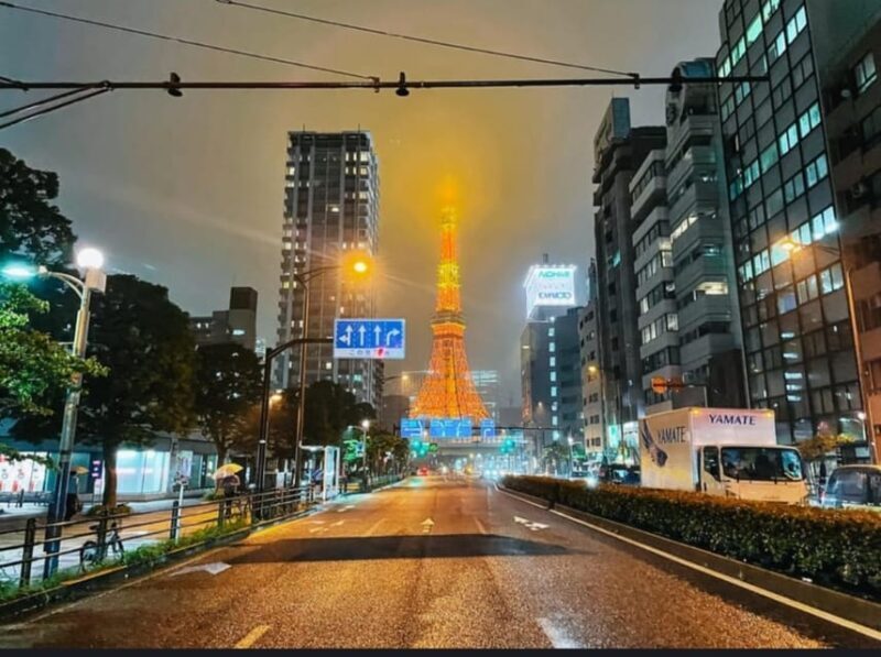 Tokyo: Private Customizable Day Tour with Chauffeur - The Value of a Private, Customizable Tour