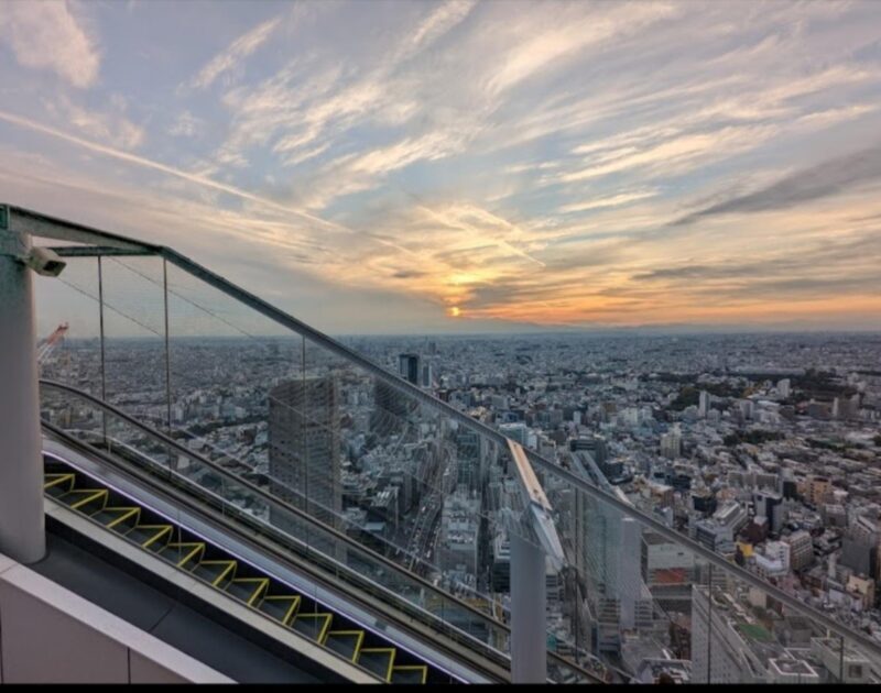 Tokyo: Private Customizable Day Tour with Chauffeur - Final Thoughts